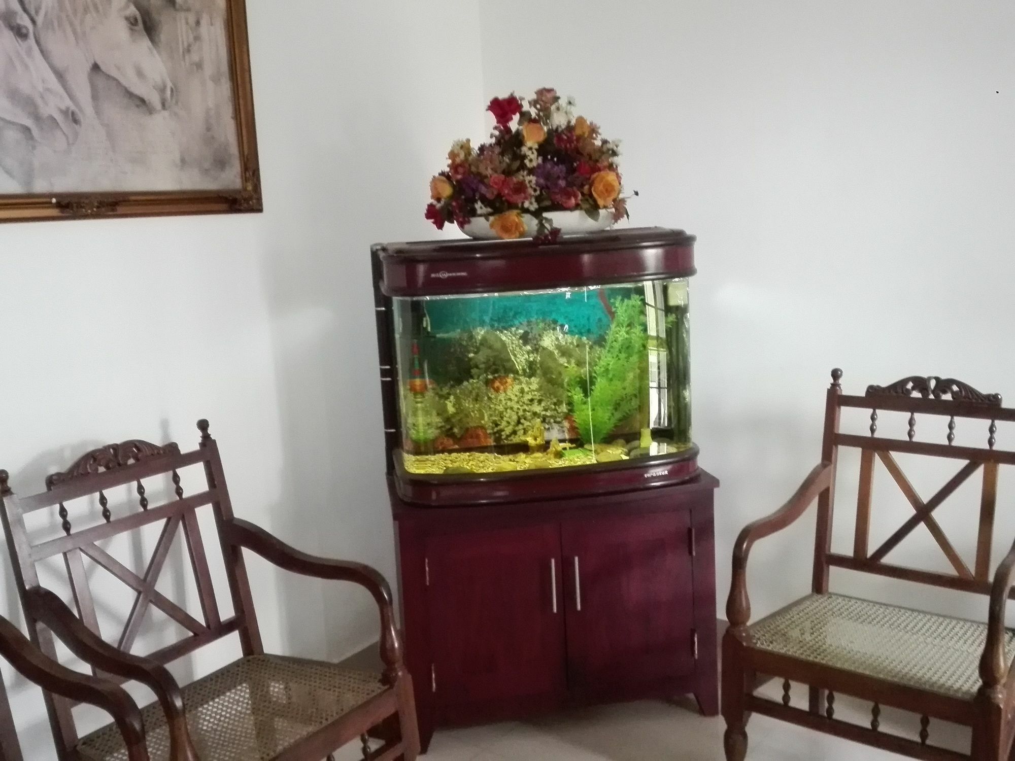 Salubrious Resort Anuradhapura Bagian luar foto